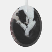 Tuxedo Cat Kitty Cats Black en White Caturday Glas Ornament (Voorkant Rechts)