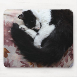 Tuxedo Cat Kitty Cats Black en White Caturday Muismat