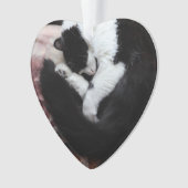 Tuxedo Cat Kitty Cats Black en White Caturday Ornament (voorkant)