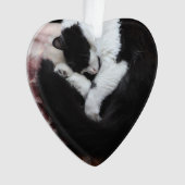 Tuxedo Cat Kitty Cats Black en White Caturday Ornament (voorkant)