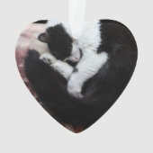 Tuxedo Cat Kitty Cats Black en White Caturday Ornament (achterkant)