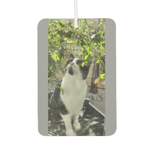 Tuxedo Cat Luchtverfrisser (Voorkant)