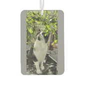 Tuxedo Cat Luchtverfrisser (Achterkant)