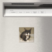 Tuxedo Cat Magnet Magneet (Insitu (Vaatwasser))