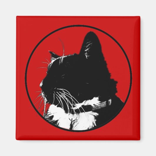 Tuxedo Cat Magnet Magneet (Voorkant)
