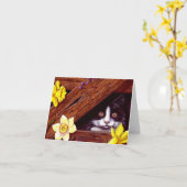 Tuxedo Cat narcissen Art Creationarts Kaart (Gele Bloem)