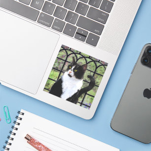 Tuxedo Cat Paining - Kute Original Cat Art Sticker