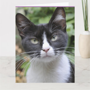 TUXEDO CAT PENSE À VOUS Cartes de voeux