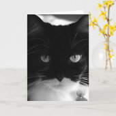 TUXEDO CAT PHOTOGRAPHIE CARTE D'ANNIVERSAIRE (Fleur jaune)