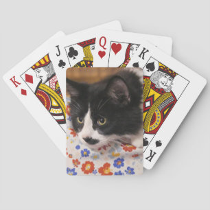Tuxedo Cat Pokerkaarten
