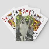 Tuxedo Cat Pokerkaarten (Achterkant)