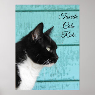 Tuxedo Cat Profile on Blauwgroen Poster