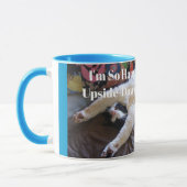Tuxedo Cat Schattige bezig met een Mexican Wave Fu Mok (Links)