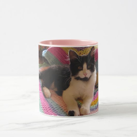 Tuxedo Cat Schattige met  Haakkleed Dank u Mok (Midden)