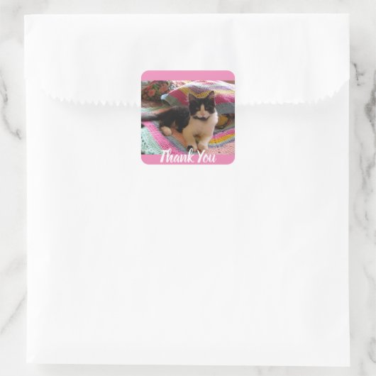 Tuxedo Cat Schattige met Haakkleed Dank u Vierkante Sticker (Tas)
