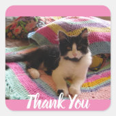 Tuxedo Cat Schattige met  Haakkleed Dank u Vierkante Sticker (Voorkant)