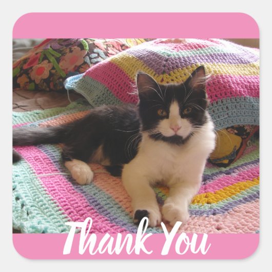 Tuxedo Cat Schattige met Haakkleed Dank u Vierkante Sticker (Voorkant)