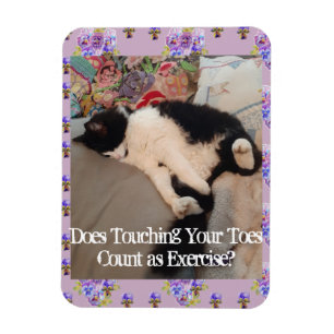 Tuxedo Cat Slaaping Funny Quote katten Magnet Magneet