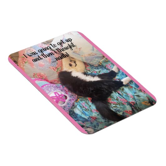 Tuxedo Cat Slapeping Funny Gezegde cats Magnet Magneet (Rechterzijde)