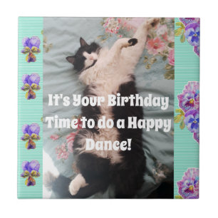 Tuxedo Cat Sleeping Funny Cats Happy Dance Tile Tegeltje