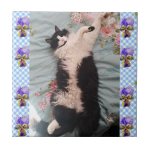Tuxedo Cat Sleeping Funny Cats viola keramische te Tegeltje