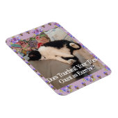 Tuxedo Cat Sleeping Funny Quote cats Magnet Magneet (Rechterzijde)