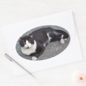 Tuxedo Cat Sticker (Envelop)
