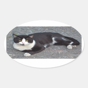 Tuxedo Cat Sticker