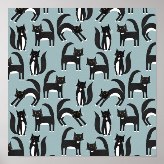 Tuxedo Cats Poster (Voorkant)