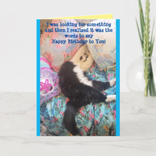 Tuxedo Chat Cute Funny Chats couchés Carte d'anniv