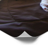 Tuxedo Chat Cute Funny Chats couchés Poster (Coin)