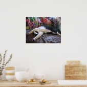 Tuxedo Chat Cute Funny Chats couchés Poster (Cuisine)