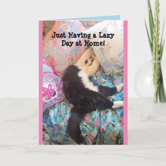 Tuxedo Chat Cute Funny Chats dormant Lazy Carte de (Devant)