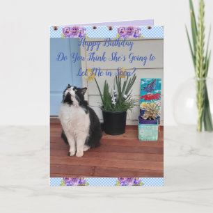 Tuxedo Chat Cute Funny Floral Bonne carte d'annive