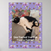 Tuxedo Chat Cute Funny Touch Toes Chats Poster (Devant)