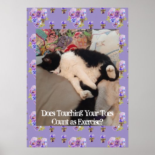 Tuxedo Chat Cute Funny Touch Toes Chats Poster (Devant)