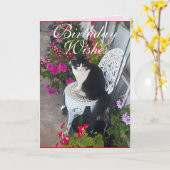 Tuxedo Chat Cute Jolie Fleurs Chats Carte d'Annive (Fleur jaune)