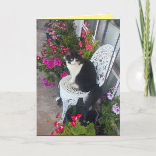 Tuxedo Chat Cute Jolie Fleurs Chats Carte d'annive