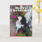 Tuxedo Chat Cute Jolie Fleurs Chats Carte de Noël (Fleur jaune)