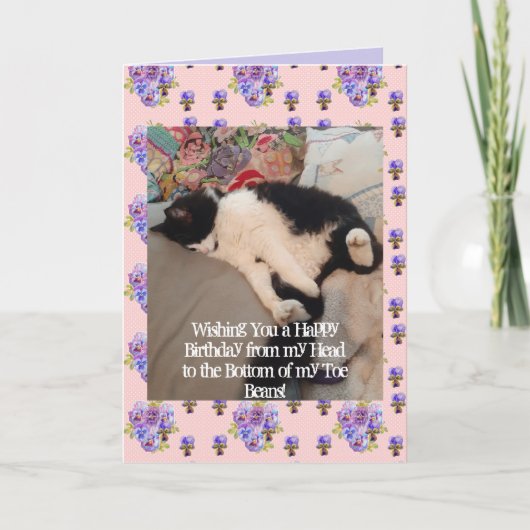 Tuxedo Chat Cute Joyeux Anniversaire Carte de hari (Devant)