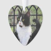 Tuxedo Chat dans la peinture de fenêtre Art animal (devant)