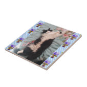 Tuxedo Chat Dormir Drôle Chats Joyeux Carreau De D (Côté)