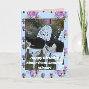 Tuxedo Chat Funny Anniversaire Soeur Mister Carte 