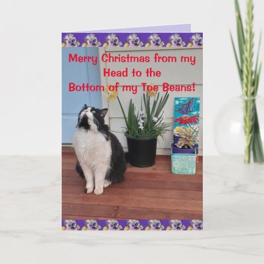 Tuxedo Chat Funny Joyeux Noël Toy Carte de haricot (Devant)