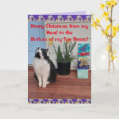 Tuxedo Chat Funny Joyeux Noël Toy Carte de haricot (Fleur jaune)