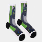 Tuxedo chat noir/blanc chaussette athlétique grand (Droite)