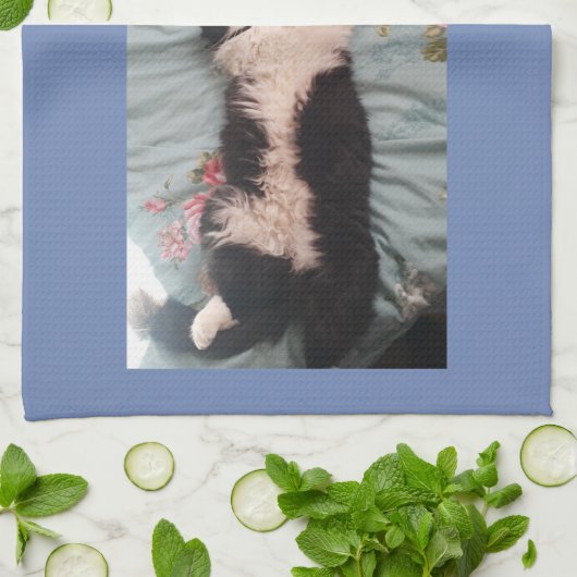 Tuxedo Chats de chat Bonne Danse Photo Serviette d (Plié)