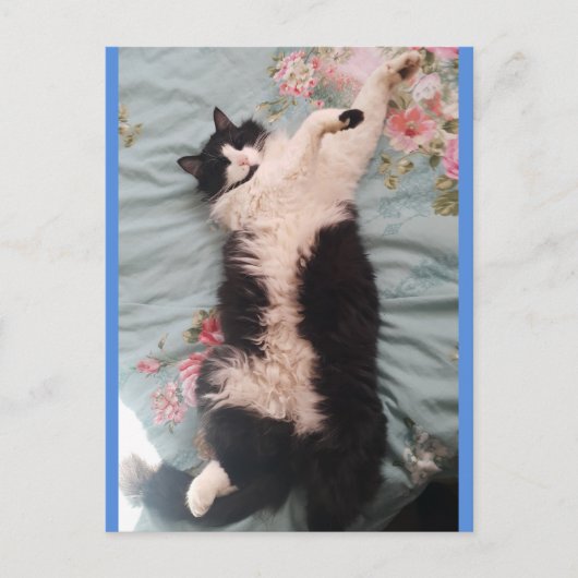 Tuxedo Kat Cute die een Happy Dance doet Ansichtka Briefkaart (Voorkant)