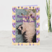 Tuxedo Kat Cute Grappige Quote Met Veel Liefde Kaa