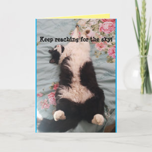 Tuxedo Kat Cute Grappige Slapende Katten Kneedkaar Kaart